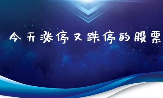 今天涨停又跌停的股票_https://qh.lansai.wang_期货喊单_第1张