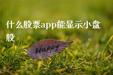 什么股票app能显示小盘股_https://qh.lansai.wang_新股数据_第1张