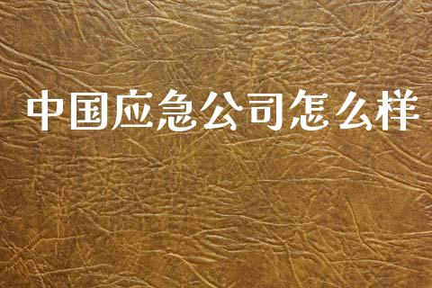 中国应急公司怎么样_https://qh.lansai.wang_股票技术分析_第1张