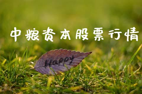 中粮资本股票行情_https://qh.lansai.wang_新股数据_第1张