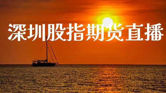 深圳股指期货直播_https://qh.lansai.wang_期货喊单_第1张