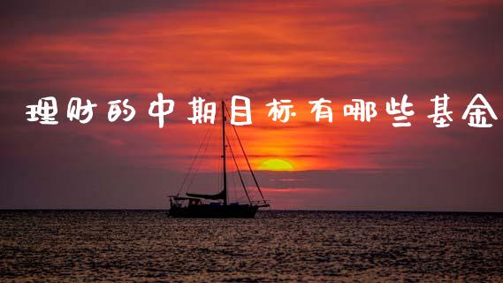 理财的中期目标有哪些基金_https://qh.lansai.wang_期货理财_第1张