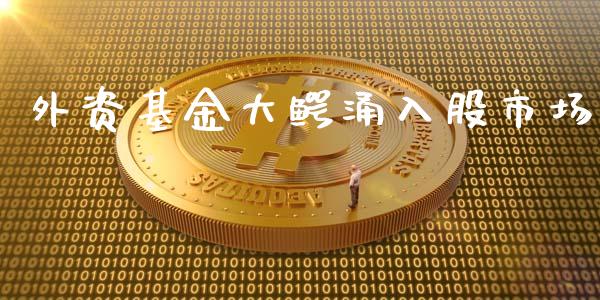 外资基金大鳄涌入股市场_https://qh.lansai.wang_期货理财_第1张