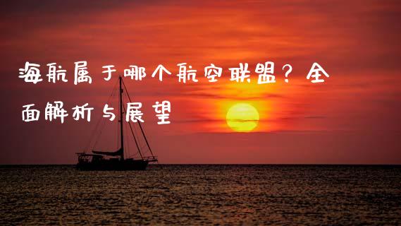 海航属于哪个航空联盟？全面解析与展望_https://qh.lansai.wang_海康威视股票_第1张