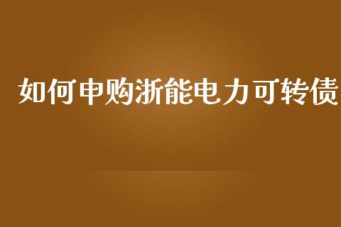 如何申购浙能电力可转债_https://qh.lansai.wang_期货理财_第1张