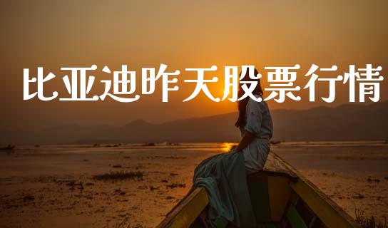比亚迪昨天股票行情_https://qh.lansai.wang_股票新闻_第1张