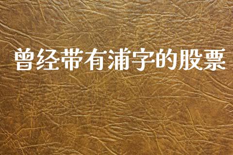 曾经带有浦字的股票_https://qh.lansai.wang_期货怎么玩_第1张