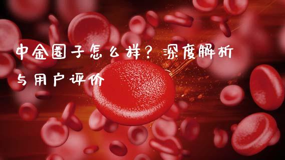 中金圈子怎么样？深度解析与用户评价_https://qh.lansai.wang_股票新闻_第1张