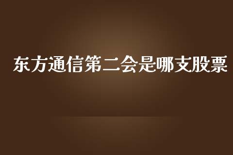 东方通信第二会是哪支股票_https://qh.lansai.wang_期货理财_第1张