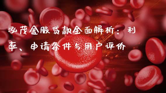 泓茂金服贷款全面解析：利率、申请条件与用户评价_https://qh.lansai.wang_股票新闻_第1张