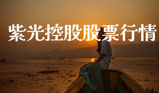 紫光控股股票行情_https://qh.lansai.wang_新股数据_第1张