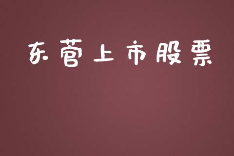 东菅上市股票_https://qh.lansai.wang_期货怎么玩_第1张