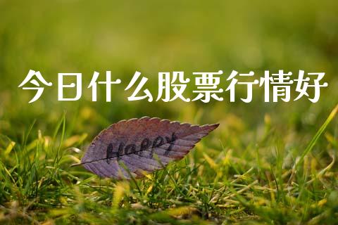 今日什么股票行情好_https://qh.lansai.wang_股票新闻_第1张