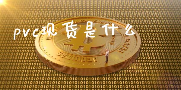 pvc现货是什么_https://qh.lansai.wang_股票技术分析_第1张