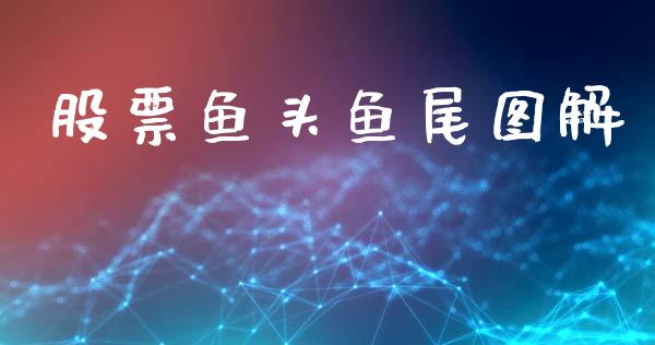 股票鱼头鱼尾图解_https://qh.lansai.wang_新股数据_第1张