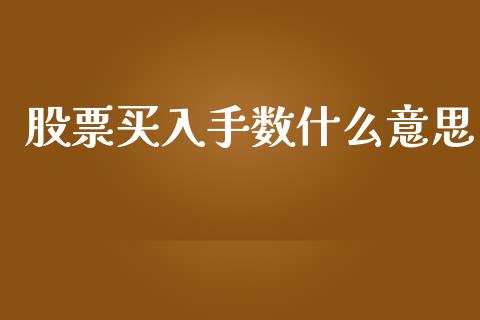 股票买入手数什么意思_https://qh.lansai.wang_新股数据_第1张