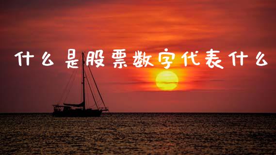 什么是股票数字代表什么_https://qh.lansai.wang_新股数据_第1张
