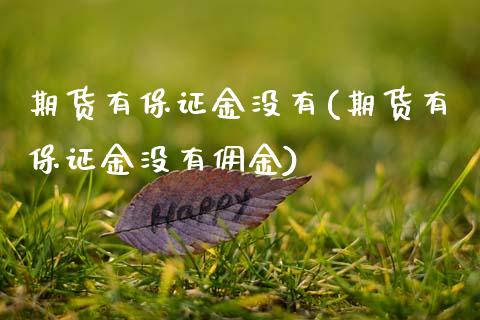 期货有保证金没有(期货有保证金没有佣金)_https://qh.lansai.wang_期货理财_第1张