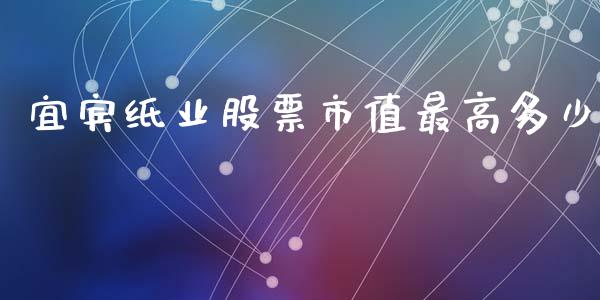 宜宾纸业股票市值最高多少_https://qh.lansai.wang_期货喊单_第1张