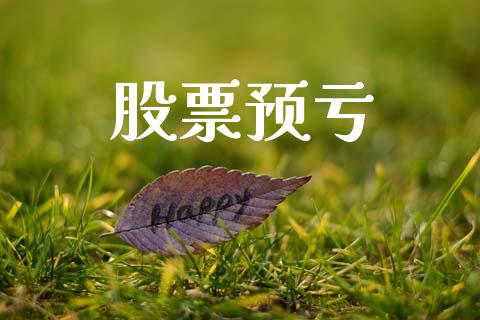 股票预亏_https://qh.lansai.wang_期货理财_第1张