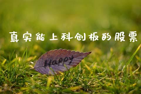 真实能上科创板的股票_https://qh.lansai.wang_新股数据_第1张