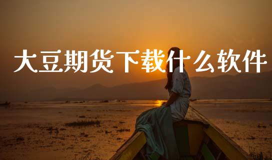 大豆期货下载什么软件_https://qh.lansai.wang_期货怎么玩_第1张