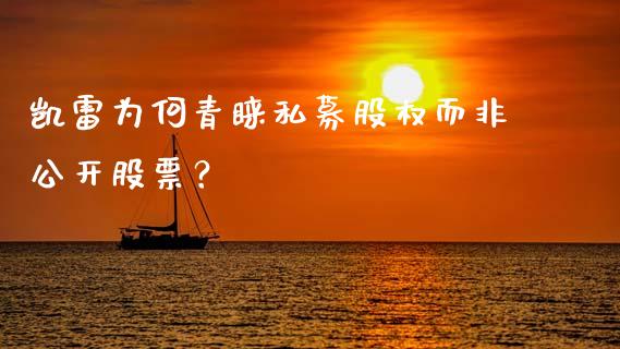 凯雷为何青睐私募股权而非公开股票？_https://qh.lansai.wang_股票技术分析_第1张