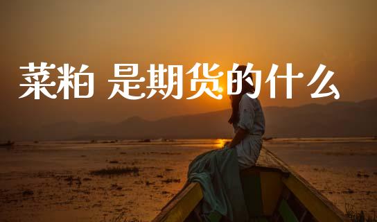菜粕 是期货的什么_https://qh.lansai.wang_股票新闻_第1张