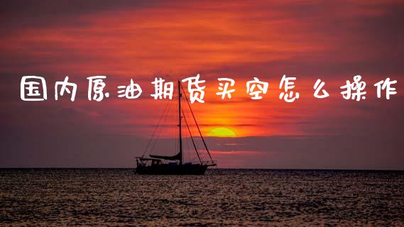 国内原油期货买空怎么操作_https://qh.lansai.wang_期货怎么玩_第1张