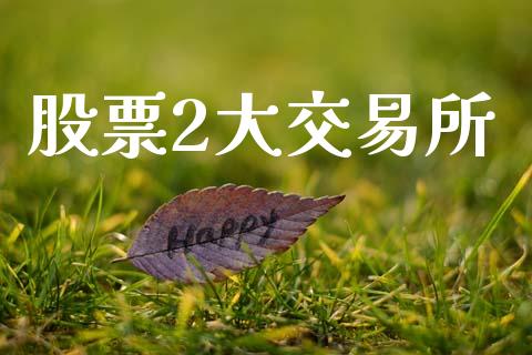 股票2大交易所_https://qh.lansai.wang_期货理财_第1张