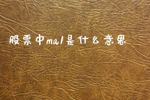 股票中ma1是什么意思_https://qh.lansai.wang_期货怎么玩_第1张