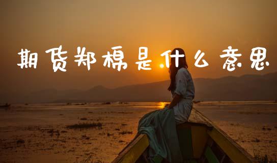 期货郑棉是什么意思_https://qh.lansai.wang_期货怎么玩_第1张