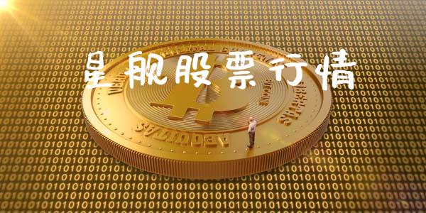 星舰股票行情_https://qh.lansai.wang_新股数据_第1张