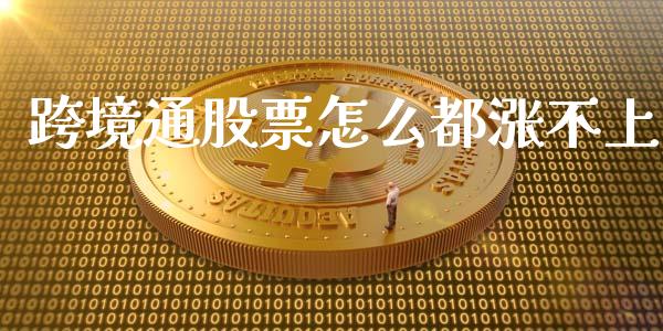 跨境通股票怎么都涨不上_https://qh.lansai.wang_股票技术分析_第1张