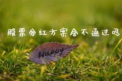 股票分红方案会不通过吗_https://qh.lansai.wang_期货怎么玩_第1张
