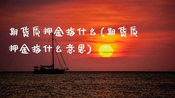 期货质押金指什么(期货质押金指什么意思)_https://qh.lansai.wang_期货理财_第1张