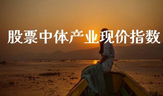 股票中体产业现价指数_https://qh.lansai.wang_期货喊单_第1张