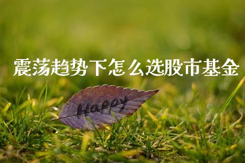 震荡趋势下怎么选股市基金_https://qh.lansai.wang_期货理财_第1张