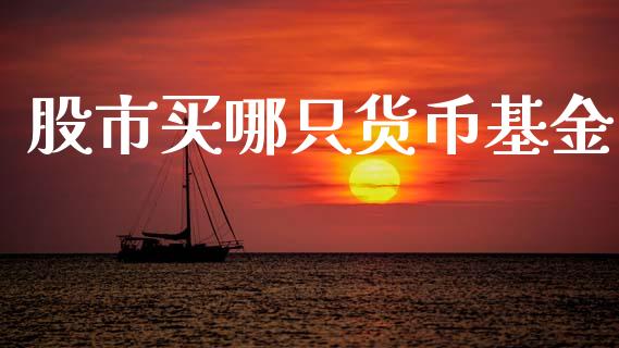 股市买哪只货币基金_https://qh.lansai.wang_期货理财_第1张