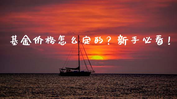 基金价格怎么定的？新手必看！_https://qh.lansai.wang_期货理财_第1张