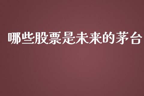 哪些股票是未来的茅台_https://qh.lansai.wang_新股数据_第1张