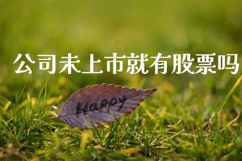 公司未上市就有股票吗_https://qh.lansai.wang_期货理财_第1张
