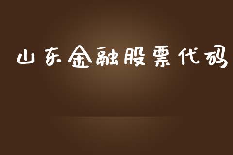 山东金融股票代码_https://qh.lansai.wang_期货怎么玩_第1张