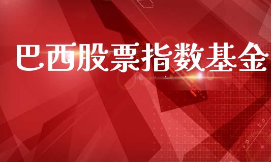 巴西股票指数基金_https://qh.lansai.wang_期货理财_第1张