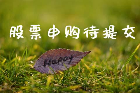 股票申购待提交_https://qh.lansai.wang_期货理财_第1张