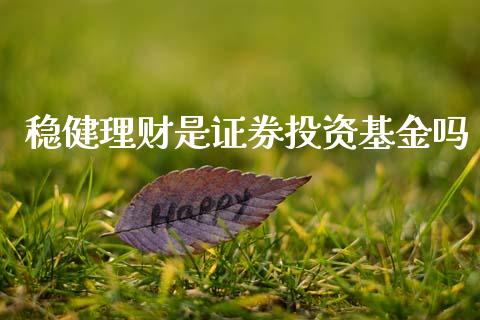 稳健理财是证券投资基金吗_https://qh.lansai.wang_期货理财_第1张