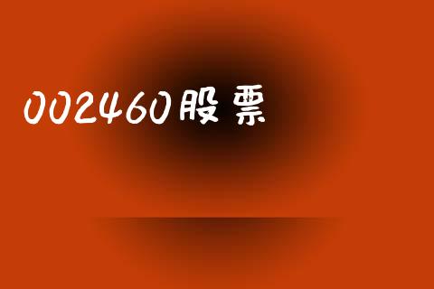 002460股票_https://qh.lansai.wang_期货怎么玩_第1张