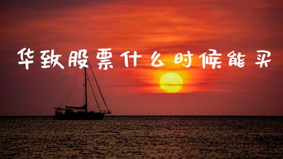 华致股票什么时候能买_https://qh.lansai.wang_期货理财_第1张