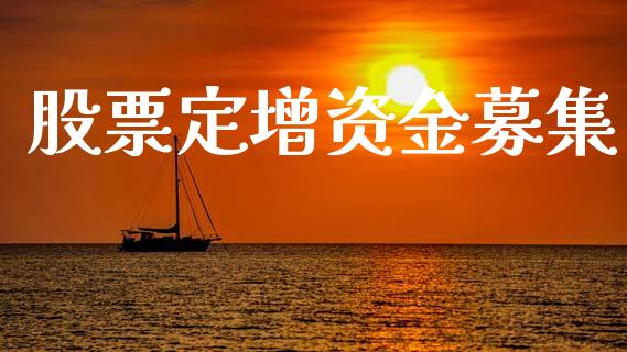 股票定增资金募集_https://qh.lansai.wang_新股数据_第1张