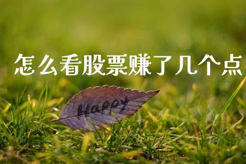 怎么看股票赚了几个点_https://qh.lansai.wang_期货喊单_第1张